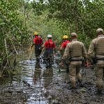 Corpo em avançado estado de decomposição é encontrado em mangue de Porto Belo (SC)