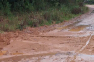 MAU TEMPO: Lama atinge Rua Osvaldo Rudolf, em Guabiruba