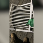 Homem é preso após ser flagrado carregando portão furtado pelas ruas de Itajaí