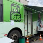 Programa Municipal de Castração Gratuita realiza mutirão e mantém cadastro aberto