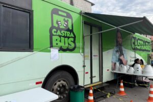 Programa Municipal de Castração Gratuita realiza mutirão e mantém cadastro aberto