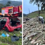 Motorista de caminhão desaparece após colisão com carro em rodovia de SC