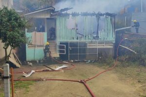 Incêndio atinge residência e bombeiros resgatam dois cães em Gaspar
