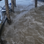 VÍDEO: Avanço repentino do mar assusta pescadores, danifica barcos e invade restaurante no Sul de SC