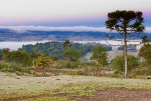 Frio persiste nesta semana e chuva retorna a partir de sexta-feira em SC
