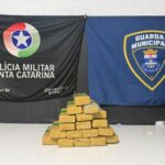 Ação conjunta apreende mais de 10 Kg de maconha em Itajaí