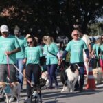 Núcleo de Médicos Veterinários da ACIBr promove 3ª Cãominhada