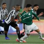Botafogo segura Palmeiras e ajuda Flamengo, novo líder do Brasileirão