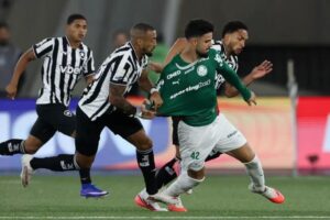 Botafogo segura Palmeiras e ajuda Flamengo, novo líder do Brasileirão