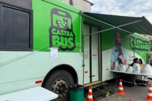 Bem-Estar Animal realiza mais de 100 castrações gratuitas em novo mutirão