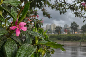 Primavera: nova estação chega com El Niño, chuva acima da média e calor em SC