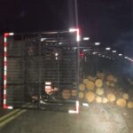 Caminhão carregado com toras tomba na SC-390 e deixa motorista ferido