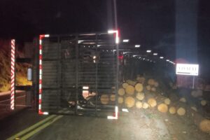 Caminhão carregado com toras tomba na SC-390 e deixa motorista ferido
