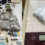 Homem com autorização para cultivo medicinal de cannabis é preso por suspeita de tráfico em SC