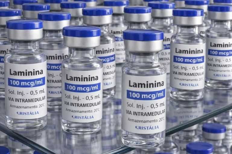 Testes clínicos fase 1 da polilaminina começam este mês