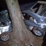 Dois jovens ficam gravemente feridos após carro atingir árvore em Pinhalzinho (SC)