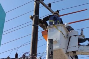 Celesc realiza mutirão de fortalecimento da rede elétrica para o verão