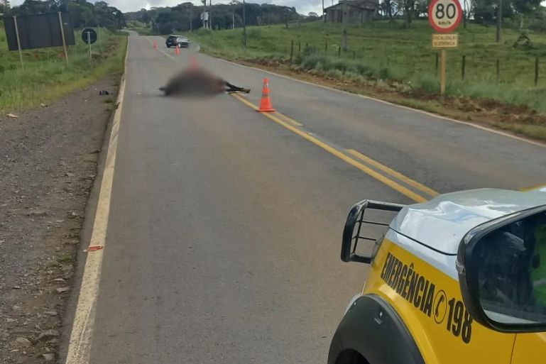 Motociclista morre após atingir cavalo e ser atropelado na SC-452