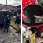 Operação da DIC de Brusque termina com três presos e recaptura de foragido em SC