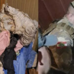 Seis homens invadem casa e ateiam fogo em idoso acamado em SC