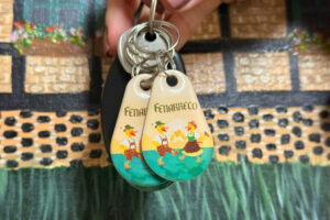 Fenafesteiros podem solicitar reembolso do saldo remanescente da 39ª Fenarreco