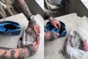 Polícia Civil apreende cocaína durante investigação em Brusque