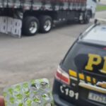 Caminhoneiro é parado pela PRF após dirigir 23 horas sem descanso e atingir até 150 km/h na BR-101