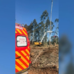Homem morre após ser atingido por tronco de árvore durante atividade rural