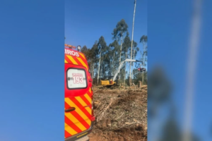 Homem morre após ser atingido por tronco de árvore durante atividade rural
