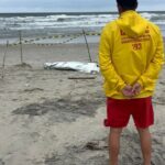 Corpo de homem é encontrado na faixa de areia em São Francisco do Sul