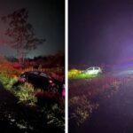 Animal na pista termina em acidente com dois carros e caminhão na BR-470