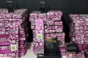 Polícia apreende cerca de 115 quilos de maconha em Navegantes